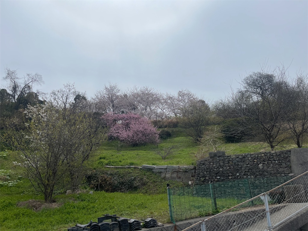 f:id:F-Garage:20220403094855j:image