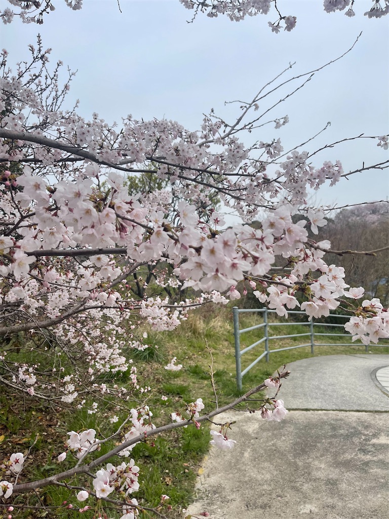 f:id:F-Garage:20220403094923j:image