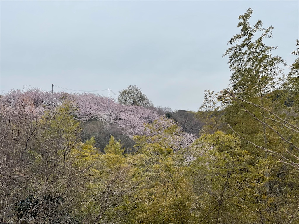 f:id:F-Garage:20220403094930j:image