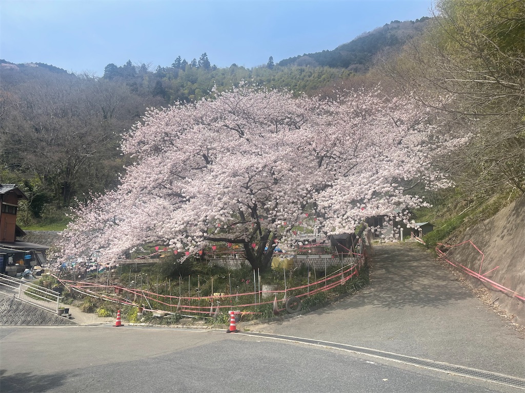 f:id:F-Garage:20220403094950j:image