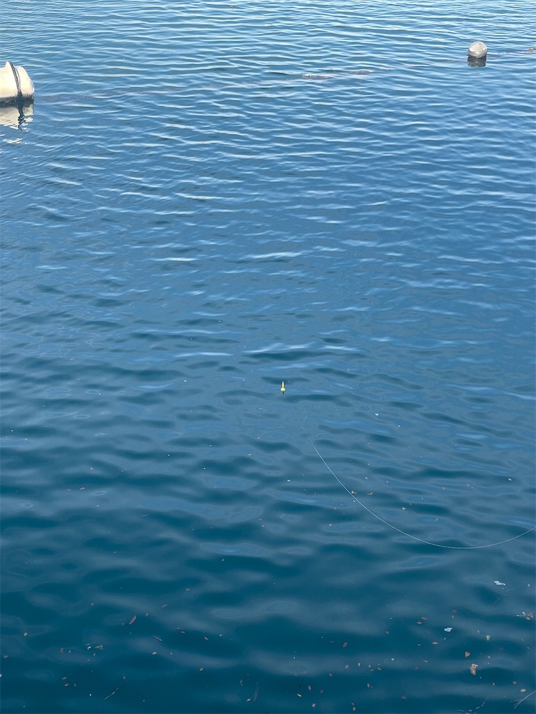 f:id:F-Garage:20220403095015j:image