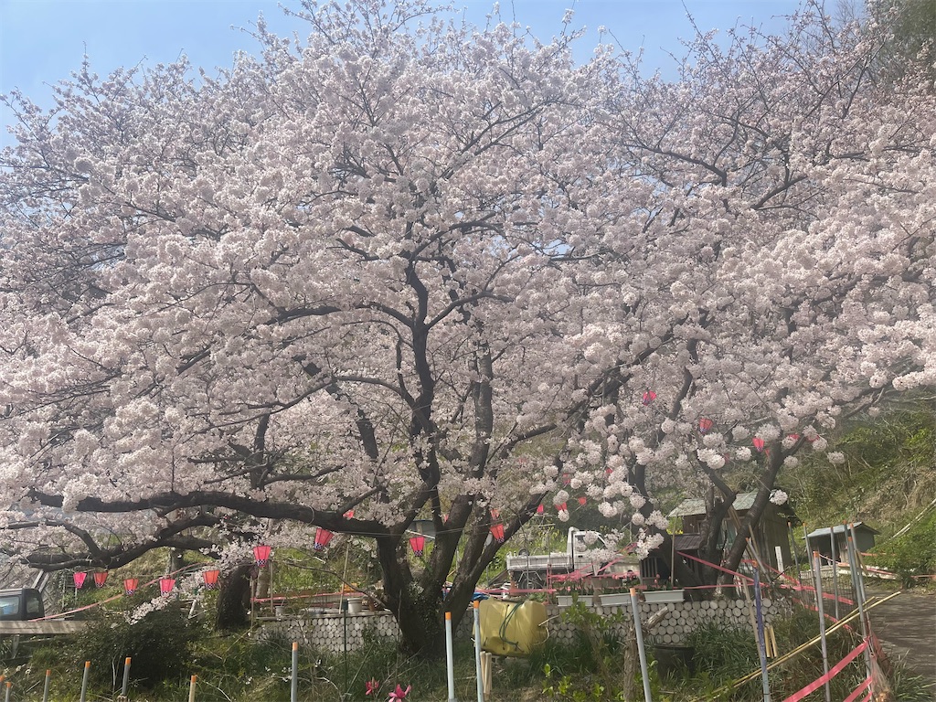 f:id:F-Garage:20220403095018j:image