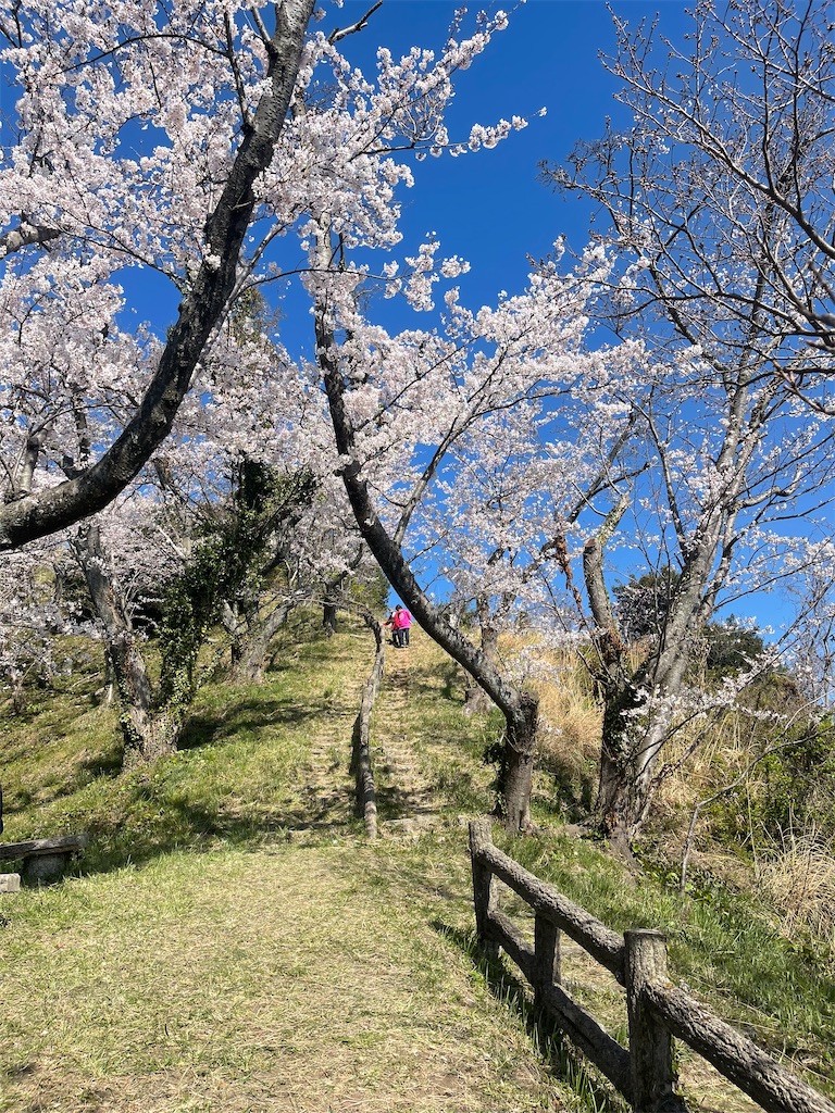 f:id:F-Garage:20220404210246j:image