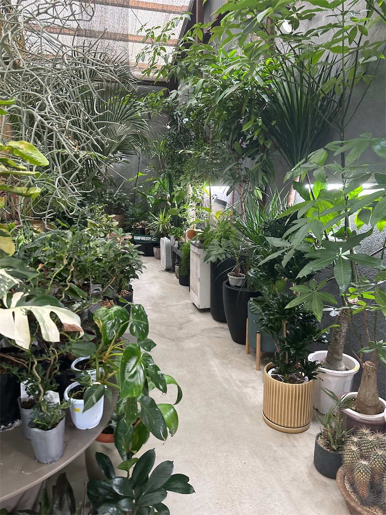 f:id:F-Garage:20231123210003j:image f:id:F-Garage:20231123210003j:image