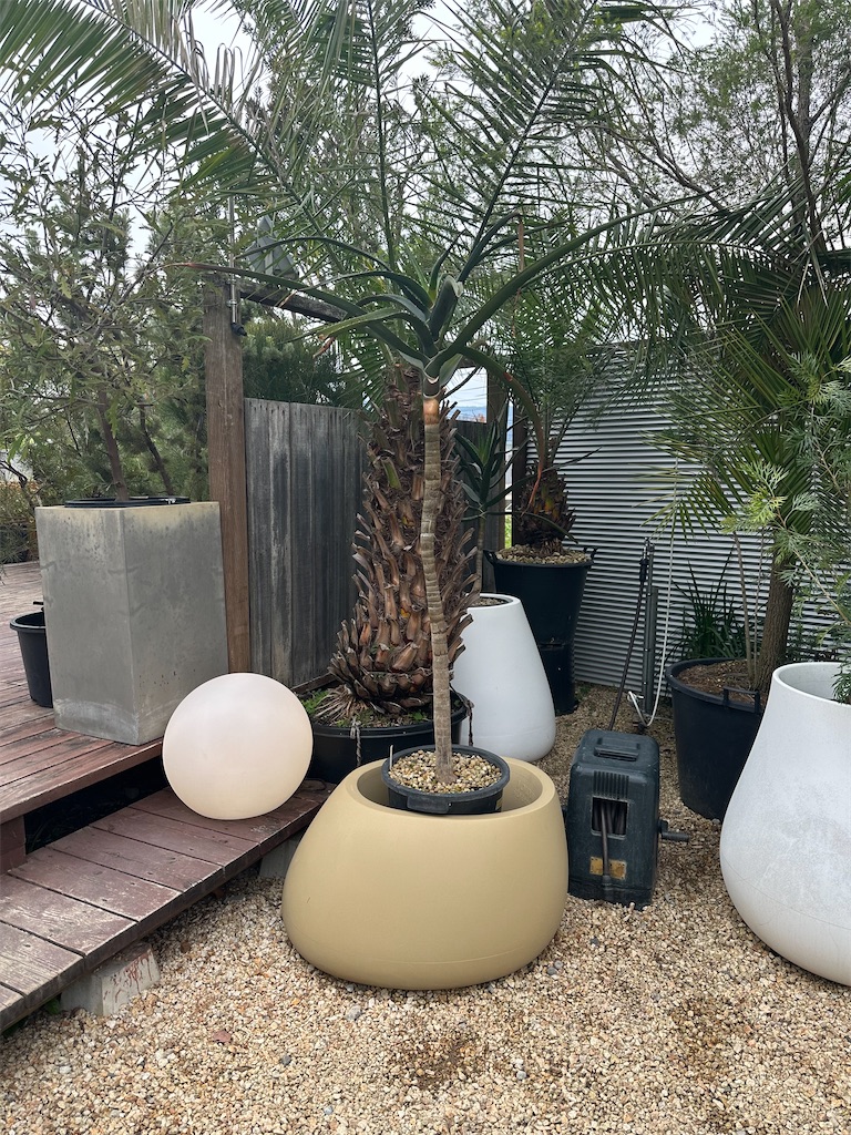 f:id:F-Garage:20231123210006j:image f:id:F-Garage:20231123210006j:image