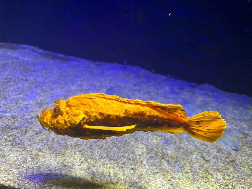 f:id:F-Garage:20240908094144j:image