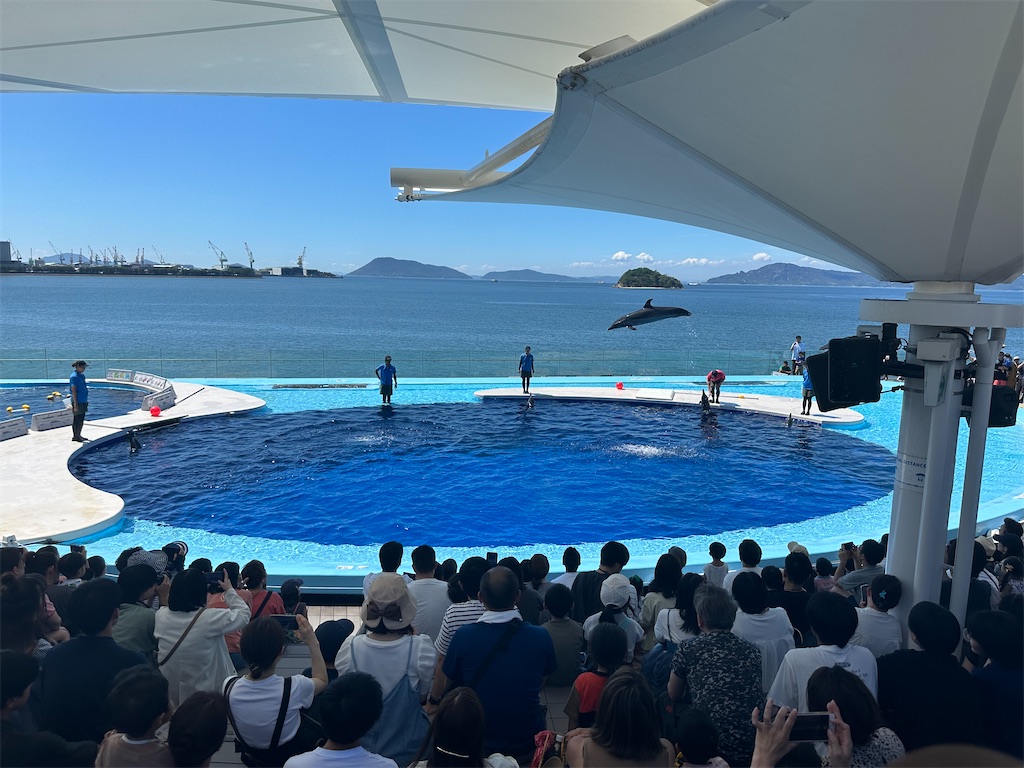 f:id:F-Garage:20240908094148j:image