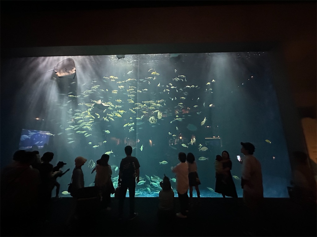 f:id:F-Garage:20240908094217j:image