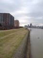 IMG_1940.JPG IMG_1940.JPG