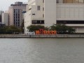 IMG_4161.JPG IMG_4161.JPG