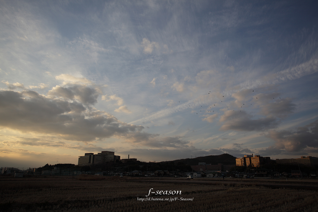 倉敷市下庄の風景写真 - 夕景