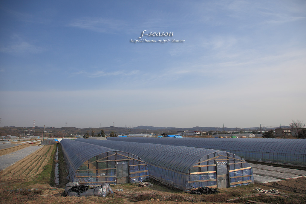 ビニールハウスの風景/瀬戸内市牛窓町牛窓にて