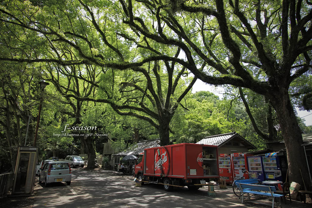 奥市の木陰/岡山市北区奥市にて