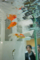 岡山市北区駅元町の風景写真 - Carassius auratus auratus