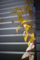 赤磐市下市の風景写真 - A yellow leaf