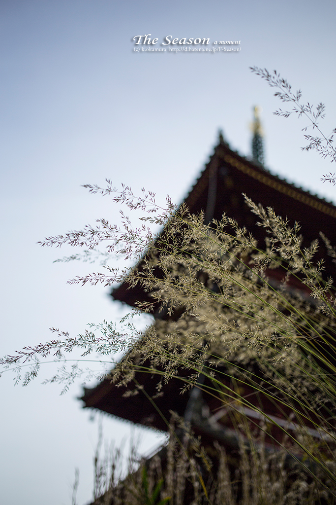 赤磐市中島の風景写真 - 千光寺