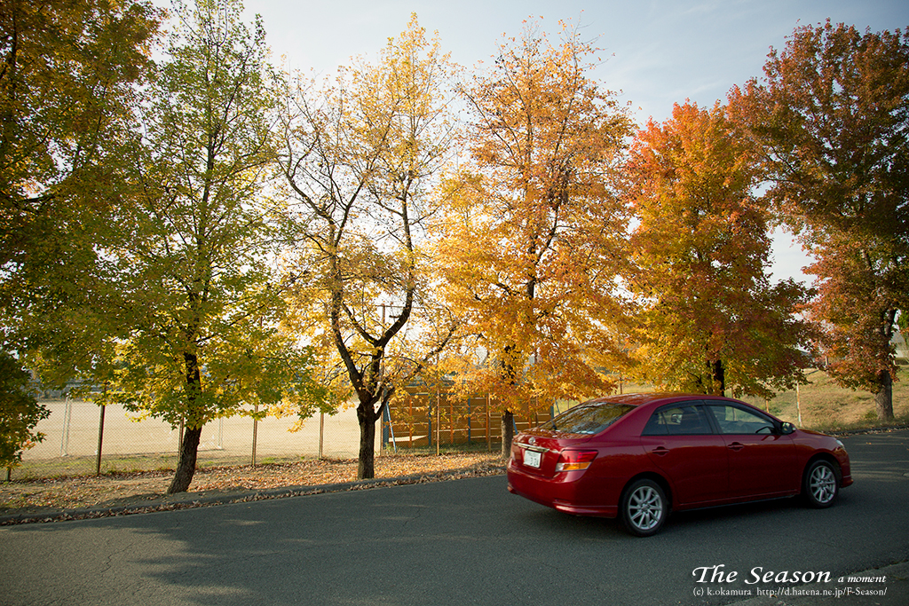 赤磐市桜が丘の風景写真 - The tree of a ground