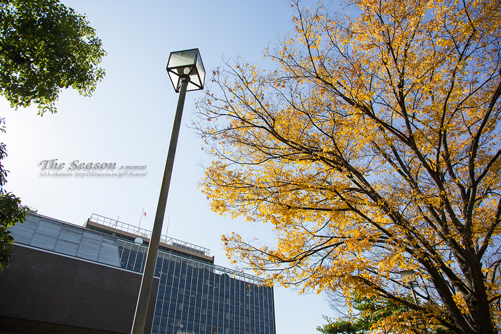 岡山市北区大供の風景写真 - Okayama city office