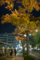 岡山市北区磨屋町の風景写真 - Night journey