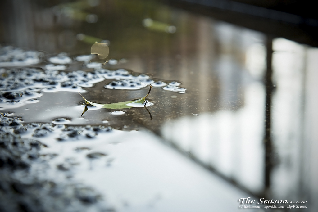 岡山市北区平和町の風景写真 - Puddle