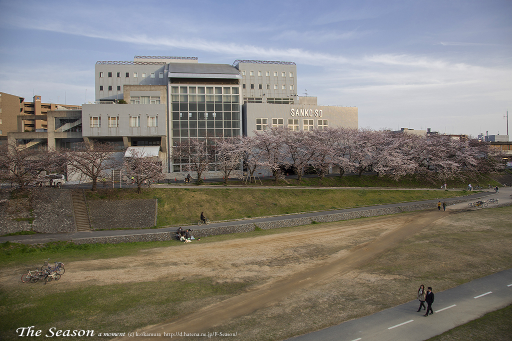 岡山市中区古京町の風景写真 - Landscape with cherry blossoms