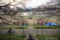 岡山市中区古京町の風景写真 - Scenery with the flower of a cherry tree