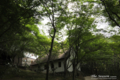 岡山市中区湊の風景写真 - The church in woods