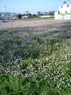 f:id:F-name:20080420160502j:image