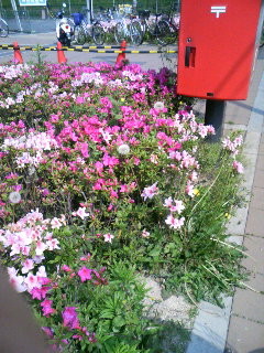 f:id:F-name:20080429092042j:image