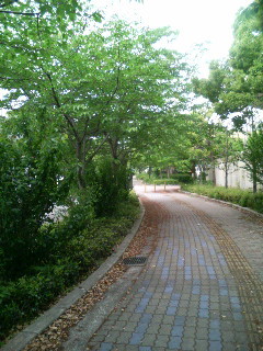 f:id:F-name:20080501122156j:image