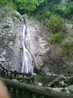 f:id:F-name:20080502150349j:image