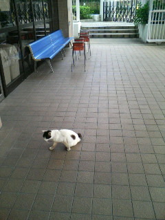f:id:F-name:20080512081257j:image