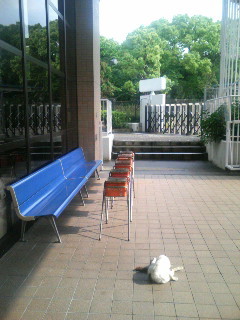 f:id:F-name:20080514081306j:image