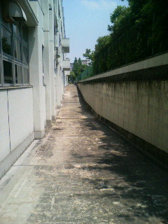 f:id:F-name:20080516123924j:image