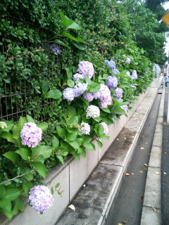 f:id:F-name:20080612082342j:image