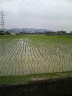f:id:F-name:20080615174550j:image