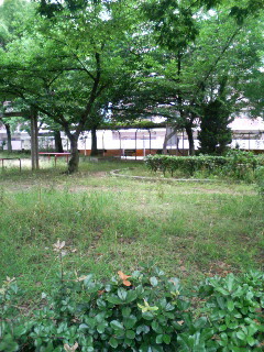 f:id:F-name:20080623080922j:image