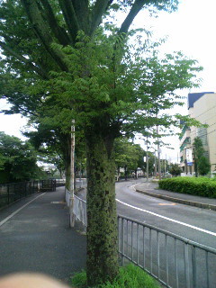 f:id:F-name:20080630061923j:image