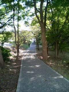 f:id:F-name:20081101133330j:image