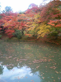f:id:F-name:20081128112822j:image