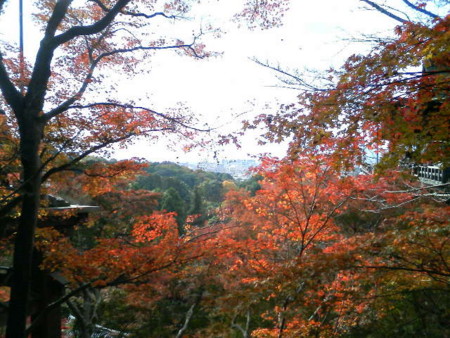 f:id:F-name:20081128132016j:image