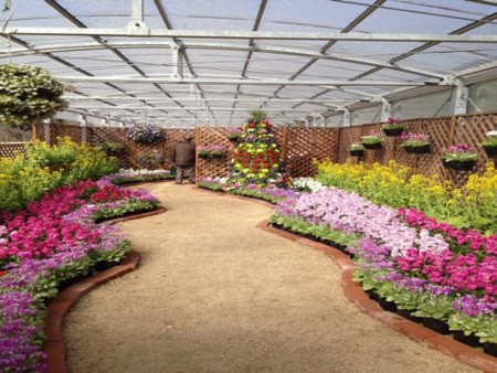 f:id:F-name:20120227103842j:image
