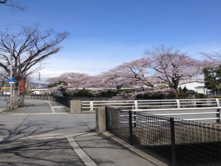 f:id:F-name:20120406122406j:image