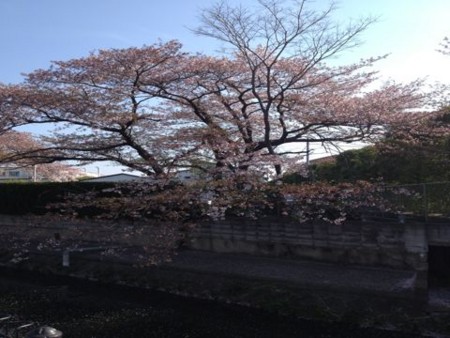 f:id:F-name:20120418084430j:image