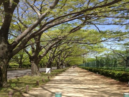 f:id:F-name:20120428111113j:image