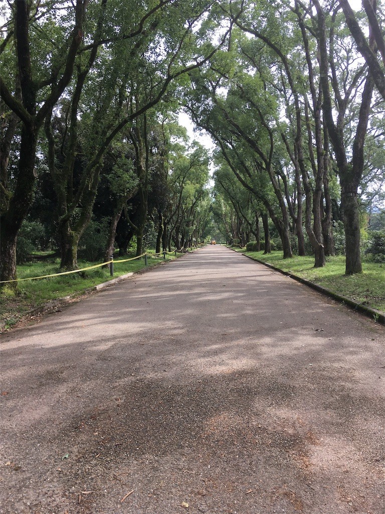 f:id:F-name:20180917093457j:image