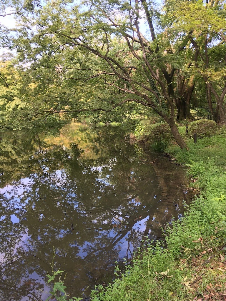 f:id:F-name:20180917162939j:image