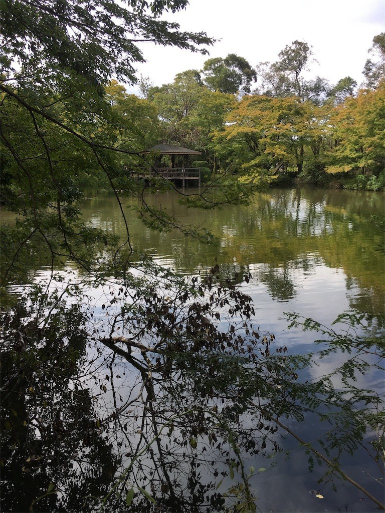 f:id:F-name:20180917163021j:image