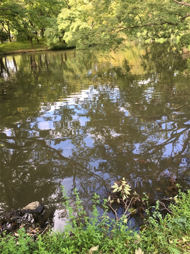 f:id:F-name:20180917163039j:image