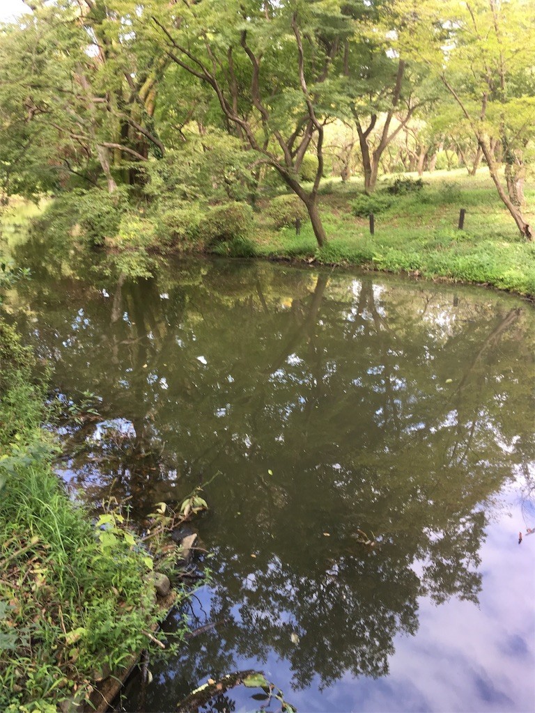 f:id:F-name:20180917163144j:image